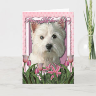 Muttertag - Rosa Tulips - West Highland Terrier Karte