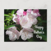 Muttertag Sakura Cherry Blossom #2 Postkarte (Vorderseite)