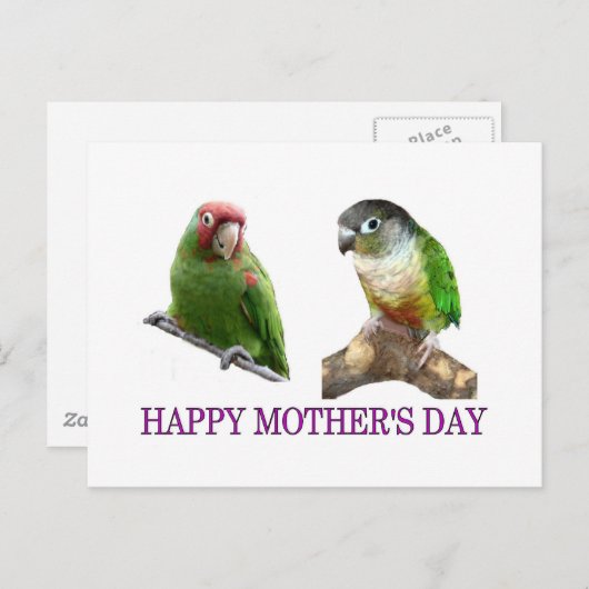 Muttertag sichern postkarte (Vorne/Hinten)