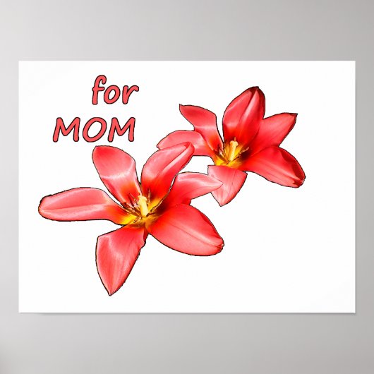 Muttertag - Tulpen für Mama - Illustration |  Poster (Vorne)