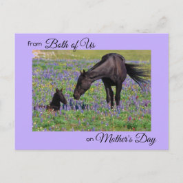 Muttertag von uns beiden Mare & Foal Foto Postkarte