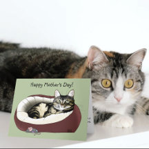 Muttertag vor der Katze