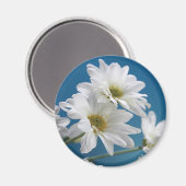 Muttertaggarten der Liebe, Daisies, Blue Sky Magnet (Vorderseite/Rückseite)
