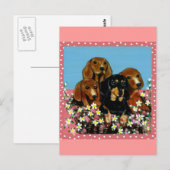 Muttertags-Dachshunde Postkarte (Vorne/Hinten)