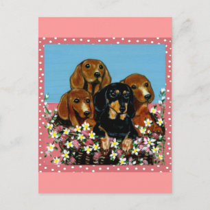 Muttertags-Dachshunde Postkarte