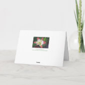 Muttertagsaufwertung/ HÜBSCHE TAGLILIE Karte (Rückseite)