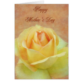 Muttertagsgelbe Rose