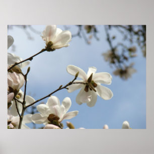 MUTTERTAGSGESCHENKE KUNST Magnolienbaum Blumen Poster