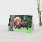 Muttertagskarte der Kuh Dankeskarte (Vorderseite)