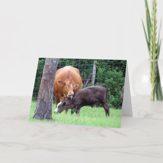 Muttertagskarte der Kuh Dankeskarte (Vorderseite)