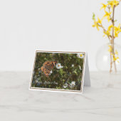 Muttertagskarte der Mutterschmetterlingsmutter Karte (Gelbe Blume)