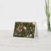 Muttertagskarte der Mutterschmetterlingsmutter Karte (Vorderseite)