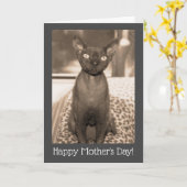 Muttertagskarte | Devon Rex Vintag Foto Karte (Gelbe Blume)