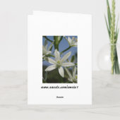 Muttertagskarte für weiße Blume Karte (Rückseite)