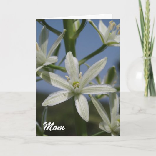 Muttertagskarte für weiße Blume Karte (Vorderseite)