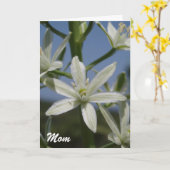 Muttertagskarte für weiße Blume Karte (Gelbe Blume)