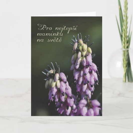 Muttertagskarte in Tschechisch Karte (Vorderseite)