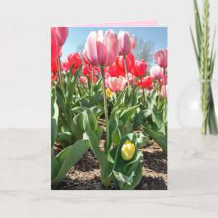 Muttertagskarte - Mama und Babytulpen Karte