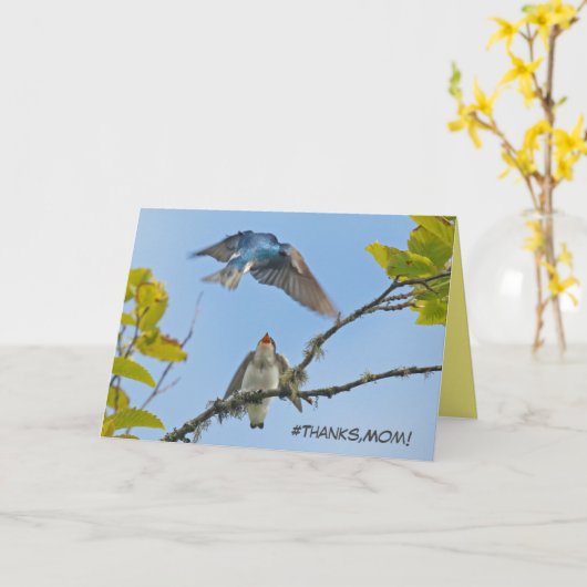 Muttertagskarte mit Baumschwalben Karte (Gelbe Blume)