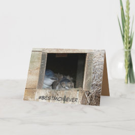 Muttertagskarte mit kleinen Pinguinen Karte