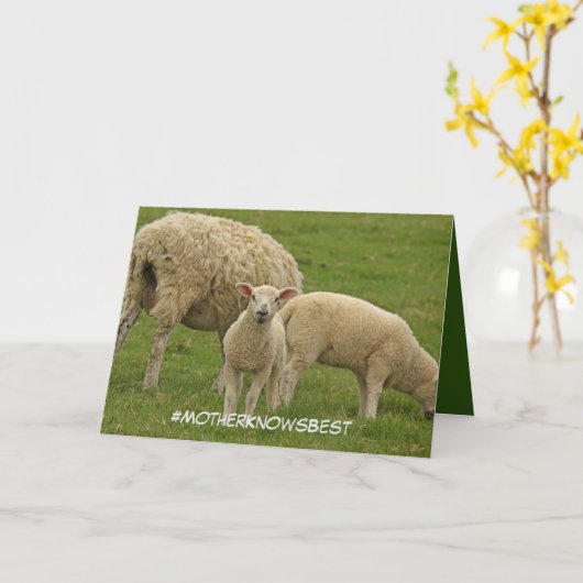 Muttertagskarte mit Lamm Karte (Gelbe Blume)