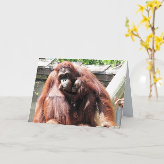 Muttertagskarte Orangutan Karte (Gelbe Blume)