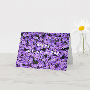 Muttertagskarte Violett Blume Schöne Violetten Karte