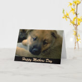 Muttertagskarte vom Hund Karte (Gelbe Blume)