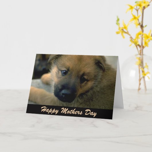 Muttertagskarte vom Hund Karte (Gelbe Blume)