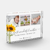 Muttertagskript Großartige Mutter Fotoblock (Links)