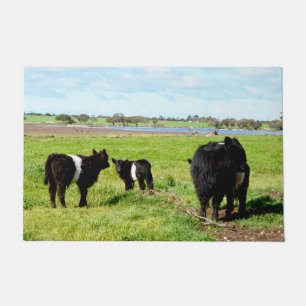 Muttertier und Baby Galloway-Kühe, Türmatte