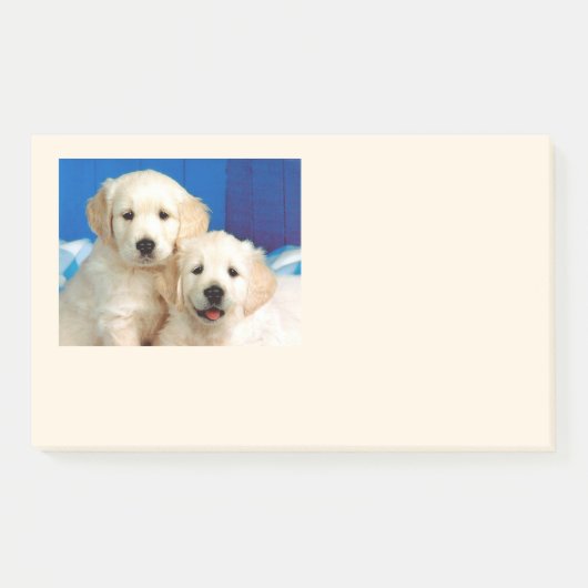 Muttertiere Post-it Klebezettel (Vorderseite)