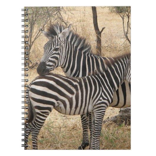 Mutterund Babyzebra-Notizbuch Notizblock (Vorderseite)