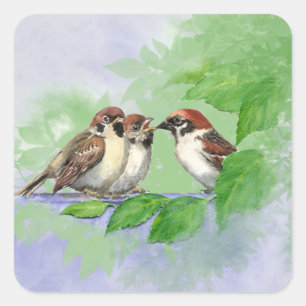 Muttervogel füttert ihre jungen Küken Aquarell Quadratischer Aufkleber