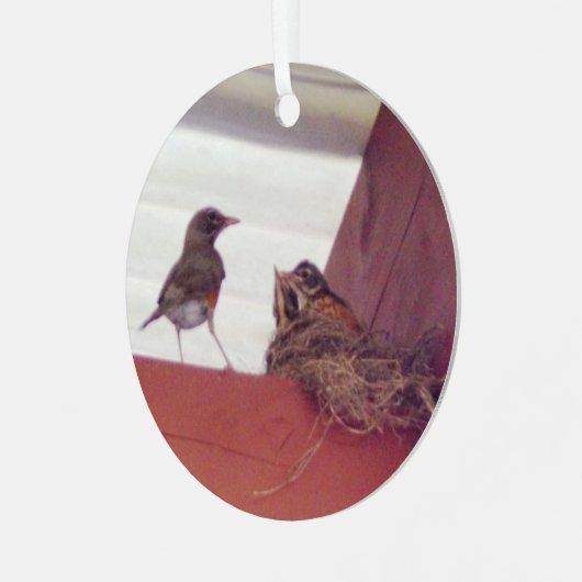 Muttervögel mit Babyvögeln im Nest-Foto Ornament Aus Metall (Vorderseite links)