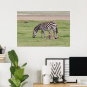 Mutterzebra mit neugeborenem Fohlen Poster (Heimbüro)