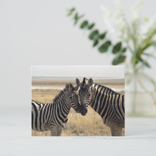 Mutterzebra und junger Zebra Postkarte (Stehend Vorderseite)