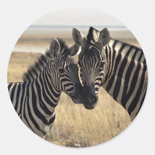 Mutterzebra und junger Zebra Runder Aufkleber (Vorderseite)