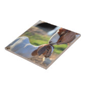 Mutterziege, die ihr Baby auf Kopf küsst Fliese (Seite)