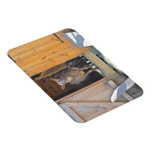 Mutterziege und Babymagnet Magnet (Rechte Seite)