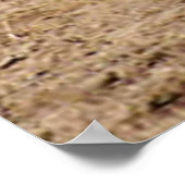 Mutton Buster versucht sein Mettle Poster (Ecke)