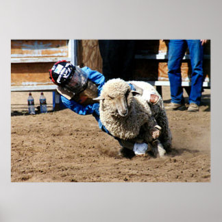Mutton Buster versucht sein Mettle Poster