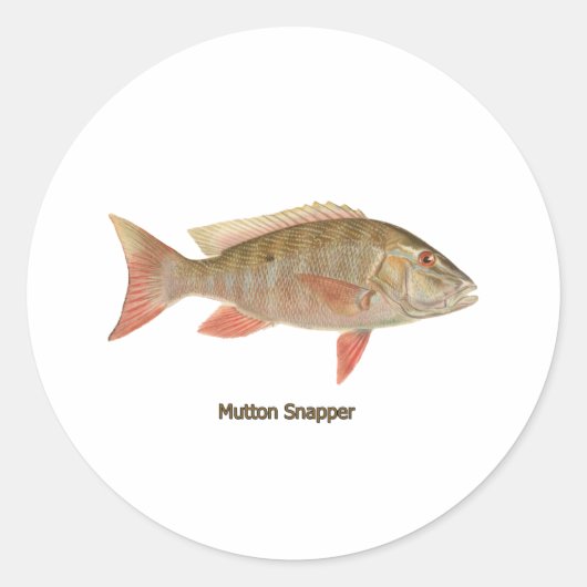 Mutton Snapper Illustration Runder Aufkleber (Vorderseite)