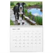 Mutts 2027 Wandkalender (Mär 2027)