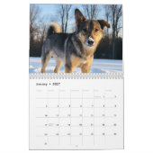 Mutts 2027 Wandkalender (Jan 2027)