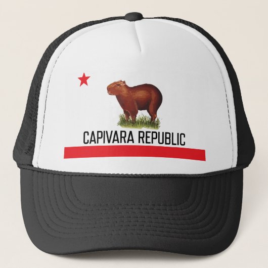 Mütze Capivara Republic, NarliStuff - (Vorderseite)