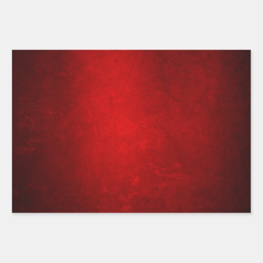 MVB Imitats Digitales Fossilienmuseum Rotes grünes Geschenkpapier Set (Vorderseite 3)