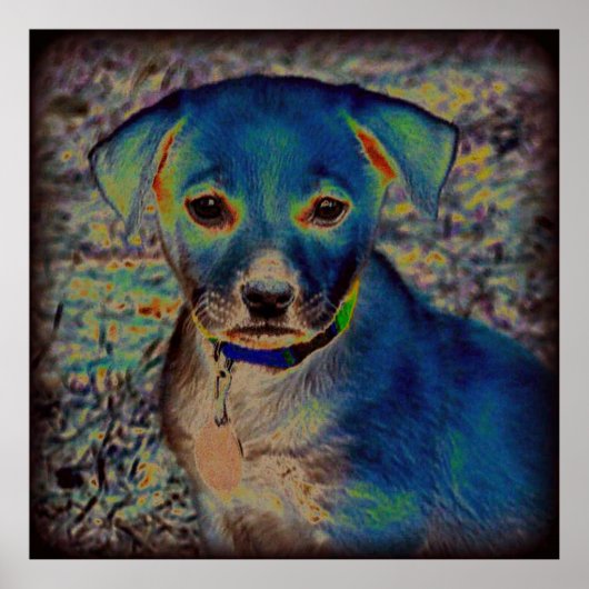 MVB Labrador Poster - Psychedelic Design (Vorne)