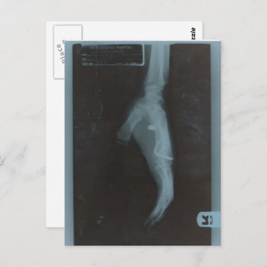 MY22BULLET POSTKARTE (Vorne/Hinten)