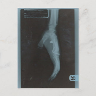 MY22BULLET POSTKARTE